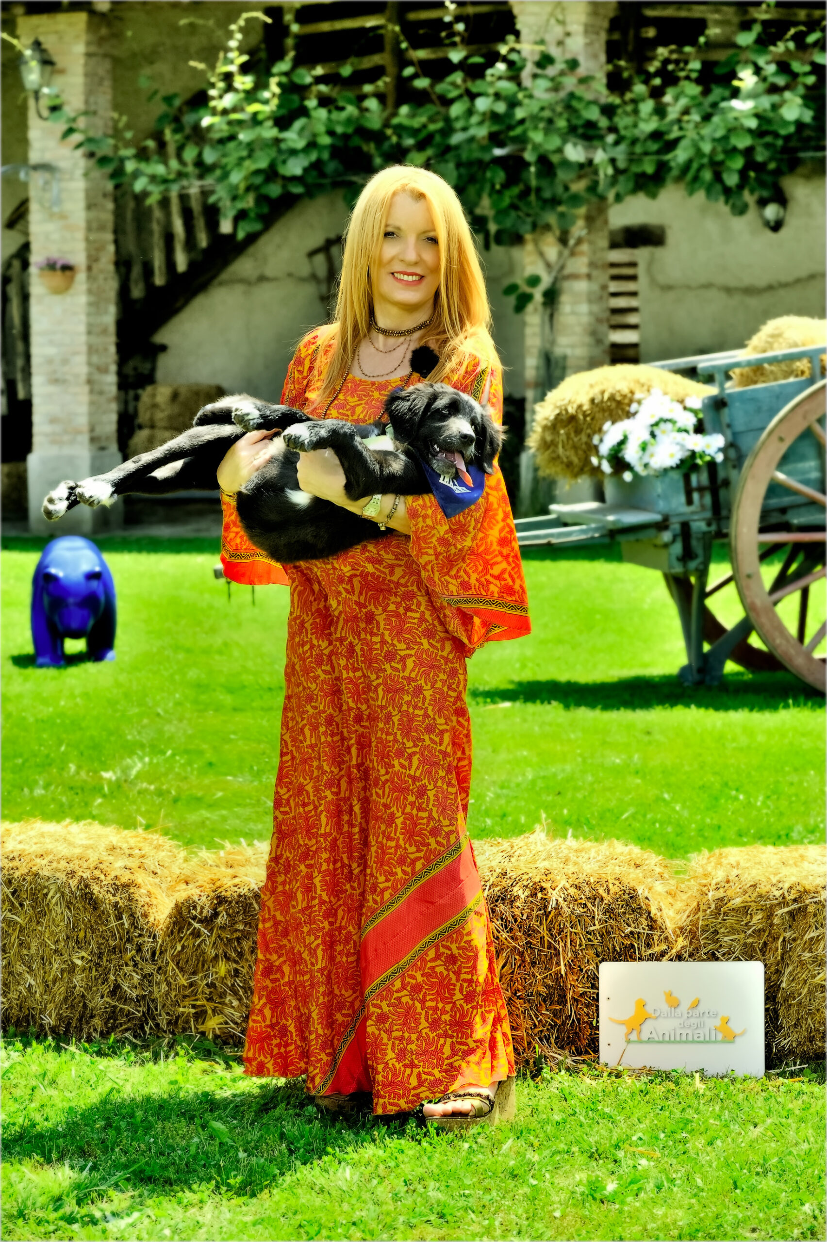 immagine] guarisci e vai avanti, non concentrarti sul perché. :  r/GetMotivated, image size:1704x2560